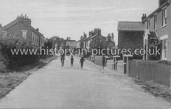 Woodrope Road, Tollesbury, Essex. c.1906